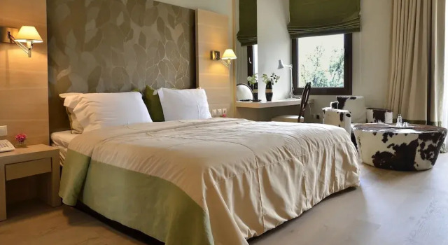 Двухместный номер Deluxe с балконом и с видом на окрестности Forest Suites Boutique Hotel