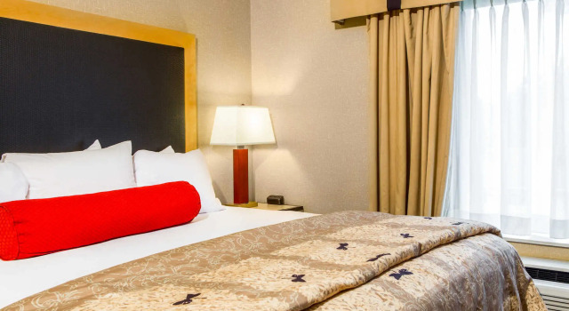 Люкс Cambria Hotel Raleigh-Durham Airport