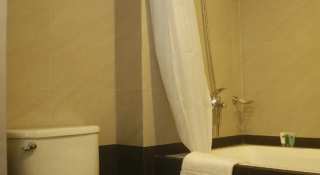 Двухместный номер Standard Herald Suites Polaris