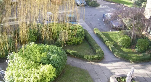 The Meadows