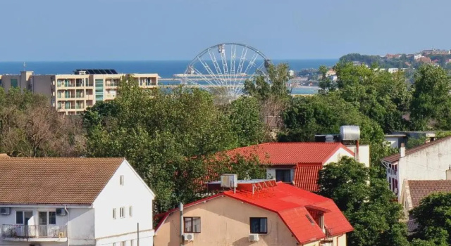 Двухместный номер Standard Hotel Coral