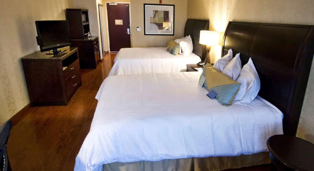 Четырёхместный номер Standard Hilton Garden Inn Aberdeen