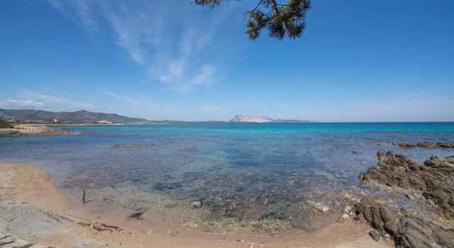 Bilo 4 VIP, Book Hotel Golfo Aranci Emerald Coast