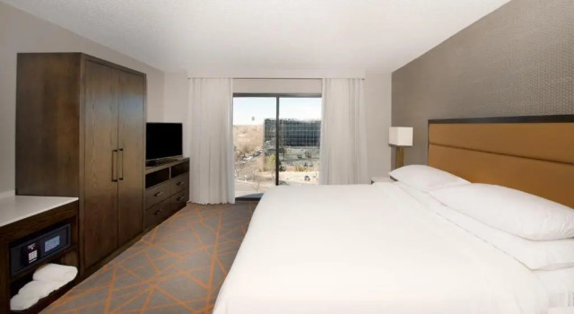 Люкс Embassy Suites by Hilton Denver Tech Center North