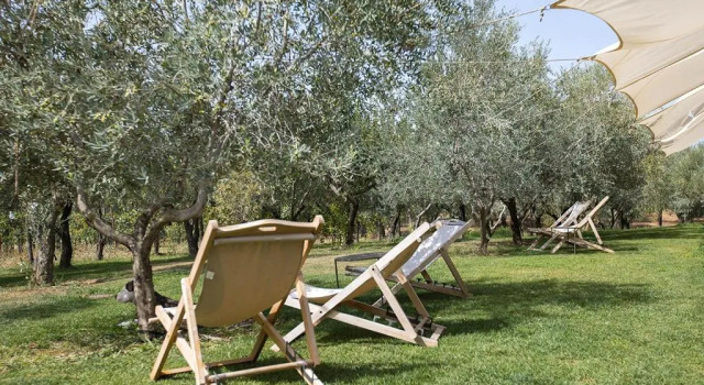 Casa Agricola Scorziello, Book Hotel Serre Campania