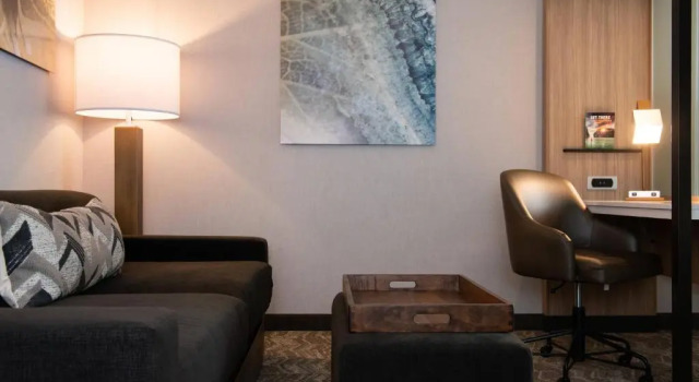 Четырёхместный люкс с видом на город SpringHill Suites by Marriott Elizabethtown