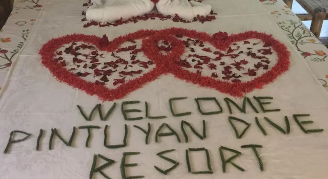 Бунгало Deluxe Pintuyan Dive Resort