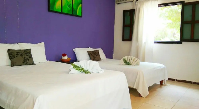 Cabañas el Porvenir, Book Hotel Palenque Chiapas