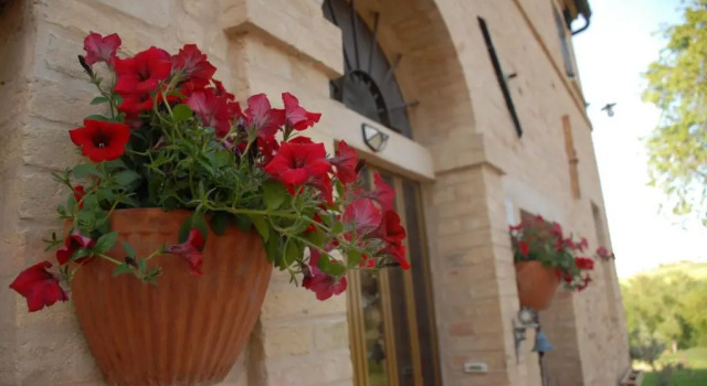 Fattoria Nonno Neno B&B
