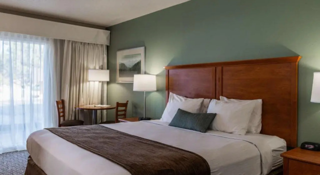 Номер Best Western Buffalo Ridge Inn Near Mt Rushmore