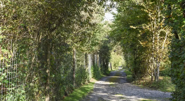 The Linhay, Throwleigh, Prenota Hotel Okehampton 
