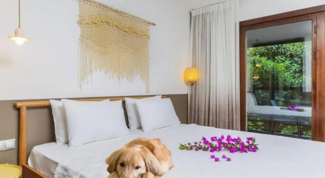 Двухместный номер Deluxe Faros Bodrum Hotel - Special Category