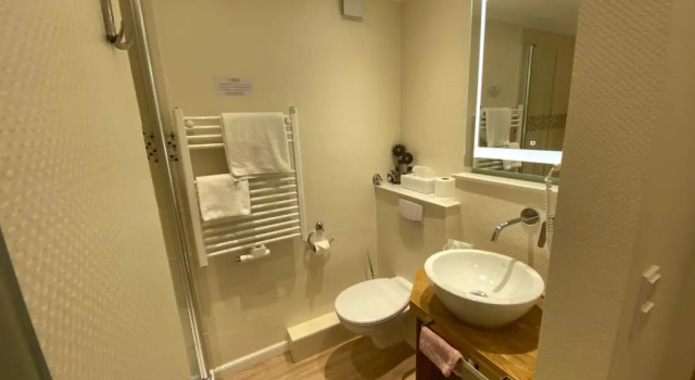 Номер Standard Hotel Hessischer Hof
