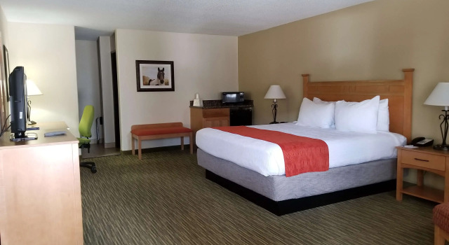 Двухместный номер Standard Best Western Paint Pony Lodge