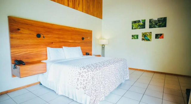 Номер Deluxe Ficus Sunset Suites