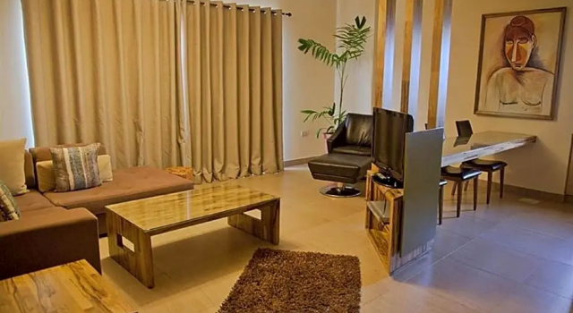 Двухместный люкс Roots Hotel Apartment