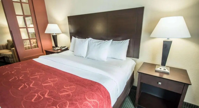 Номер Standard Comfort Suites Orlando Airport