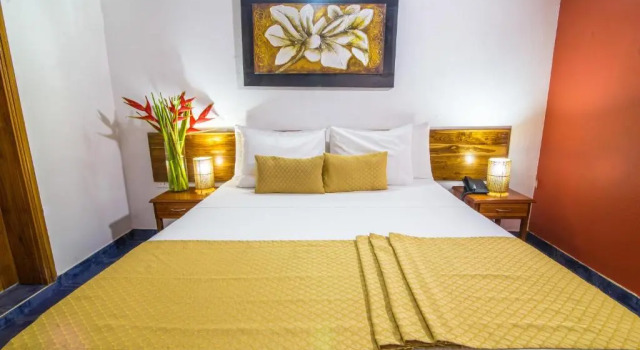 Номер Standard Hotel 3 Banderas