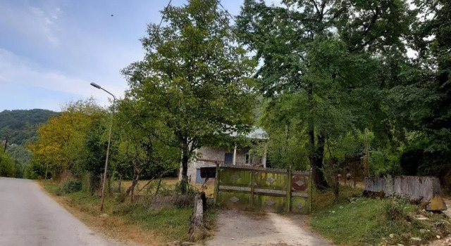 Muse House, Buchen Sie Hotel Ambrolauri Racha