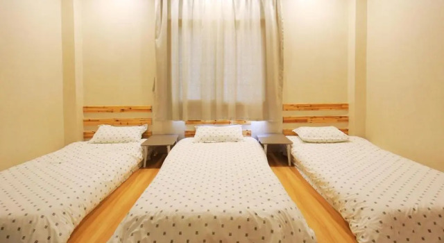 Номер Standard Koala International Youth Hostel