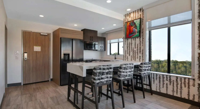 Двухместный люкс Premium c 1 комнатой Home2 Suites by Hilton Anderson Downtown
