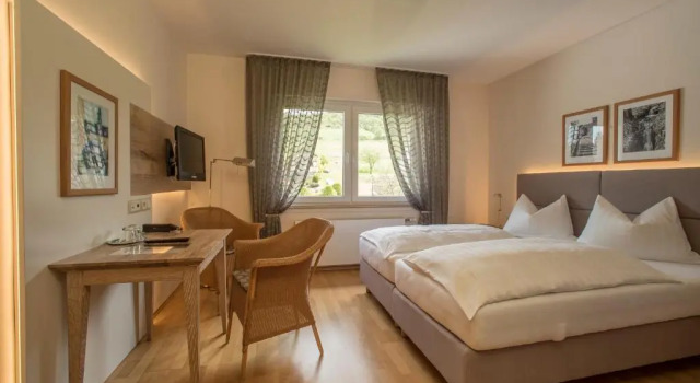 Номер Comfort Hotel im Auerbachtal