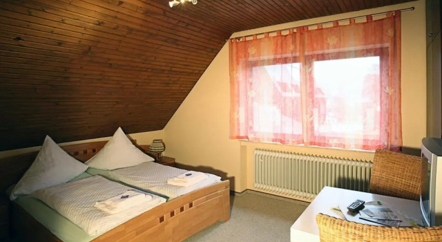 Двухместный номер Standard Hotel Steuer