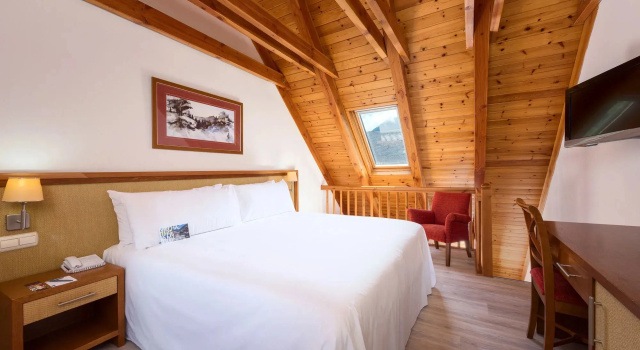 Люкс c 1 комнатой Vielha Val dArán, Affiliated by Meliá Hotel