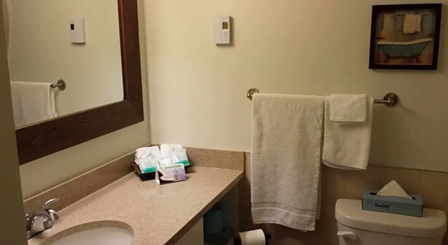 Номер Deluxe Hotel Vacances Tremblant