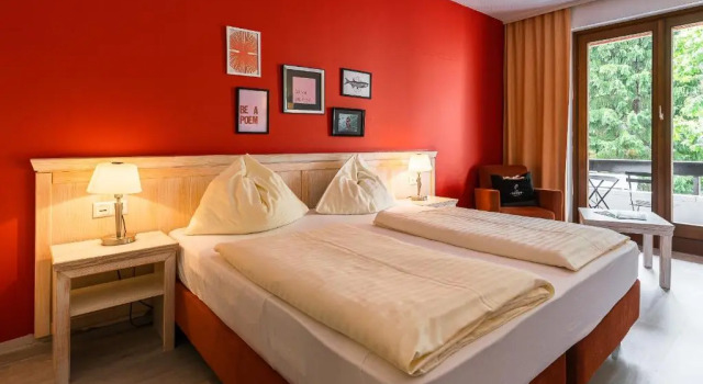 Двухместный номер Economy Hotel Parks
