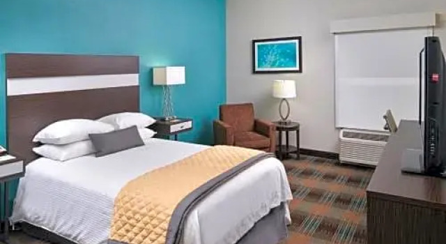 Номер Standard Hampton Inn Greenville Airport