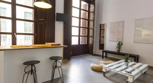 Студия Apartamentos Málaga Picasso