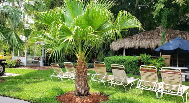 Четырёхместный номер Standard Tropical Beach Resorts - Sarasota