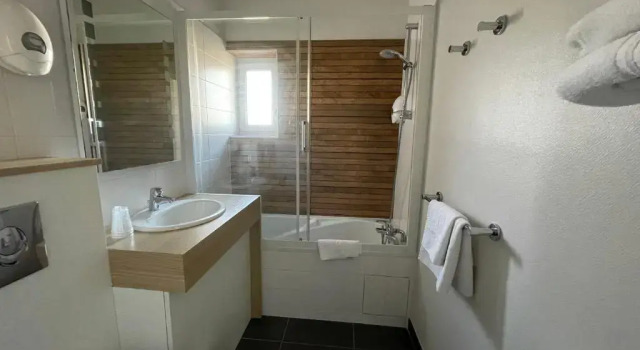 Трёхместный номер Superior Urban Jungle Hôtel Orleans