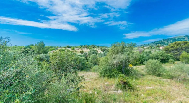 Villa Can Canals - Villa With Private Pool In Arta
