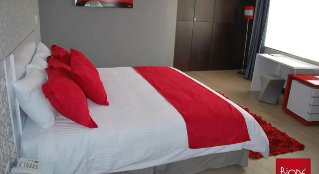 Habitación doble Estándar Rioné Hotel Boutique