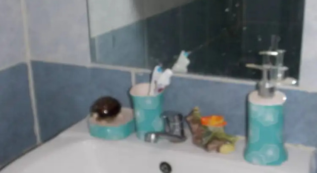 Двухместный семейный номер Standard c 1 комнатой Karolinas Homestay Near JKIA