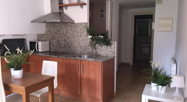 Апартаменты c 1 комнатой Apartamentos Viejo Continente