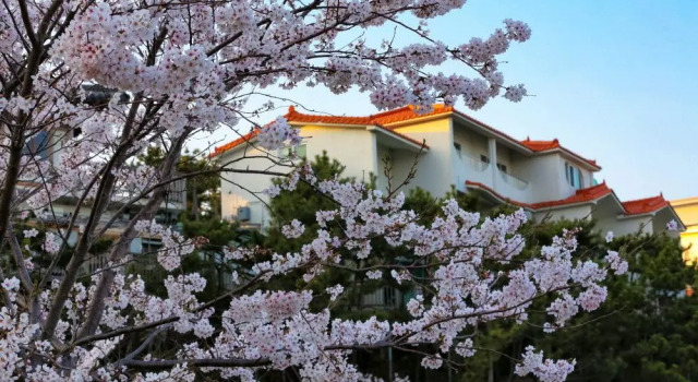 Janggun Pension