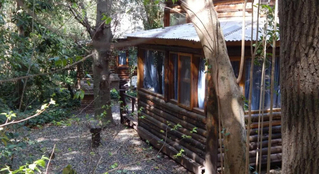 Бунгало Las Terrazas Resort & Apart-Cabañas