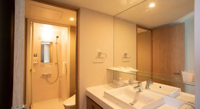 Номер Standard Shinrin Hotel
