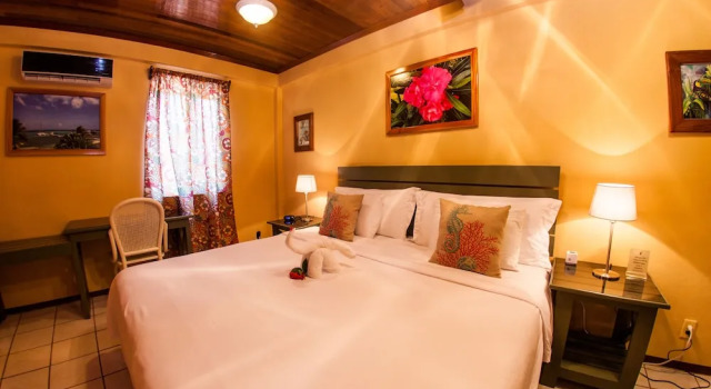 Hummingbird Suites Master King Room 3-2