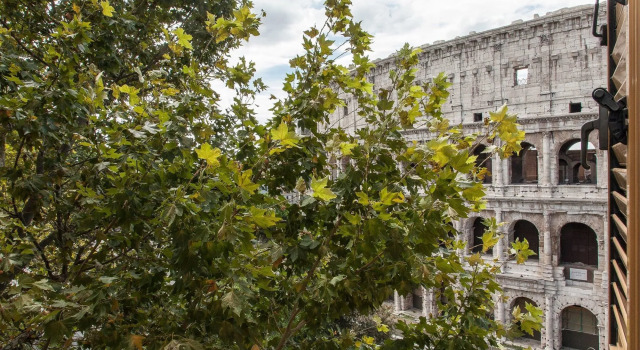 Amazing Colosseo