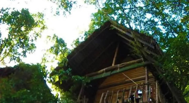 Коттедж Amuna Ayurveda and Wellness Retreat