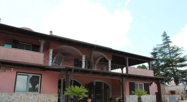 Piccolo Ulivo 1+2