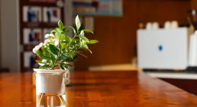 Xishe Hotel (Xiangshan Wanda Plaza), Prenota Hotel Hotel a Ningbo con parcheggio, Parcheggio
