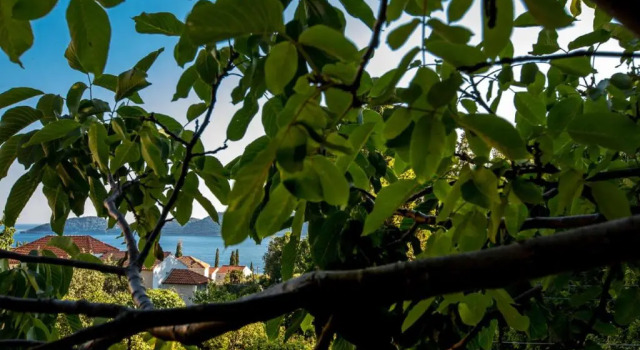 Holiday Home La Dorada