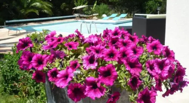 Villa De La Garriguette, Book Villa Hotels in Aigues-Mortes with a Pool, Swimming Pool