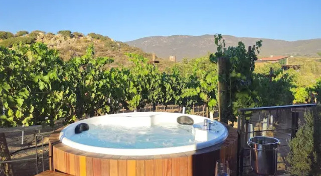 Люкс Deluxe Brisa Del Valle Hotel Boutique