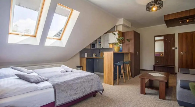 Номер Standard Apartamenty Zakopane U Kośle 2